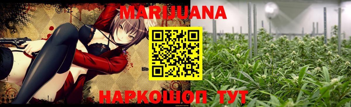 Канабис SATIVA & INDICA Дубна